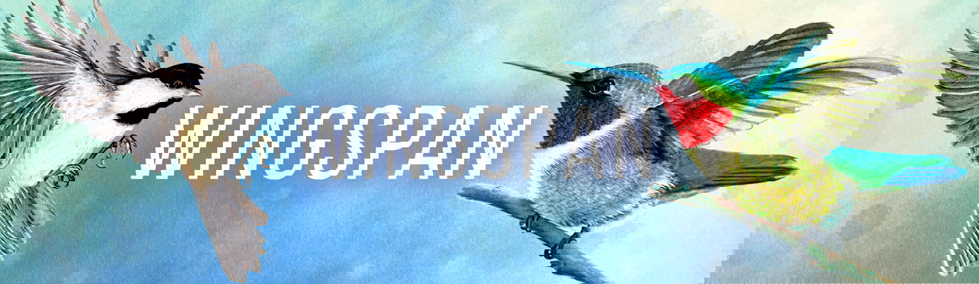Wingspan